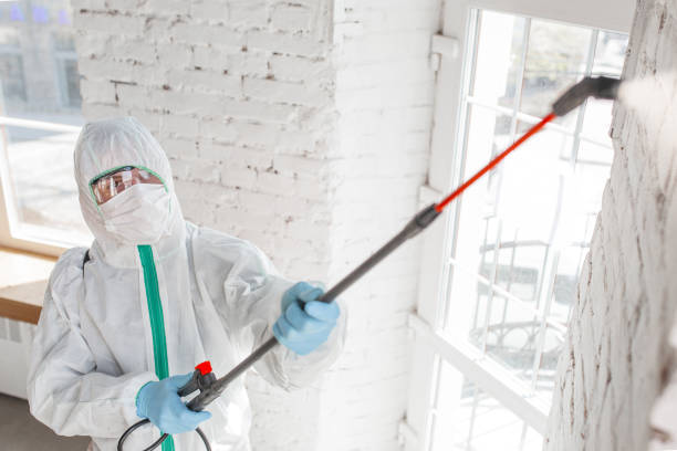 Best Emergency Mold Remediation  in Hyde Rk, PA