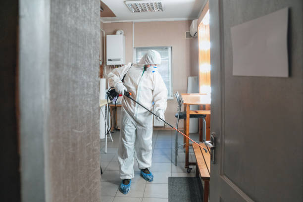 Best Mold Remediation for Healthcare Facilities  in Hyde Rk, PA