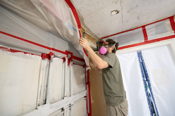 Best Attic Mold Removal  in Hyde Rk, PA